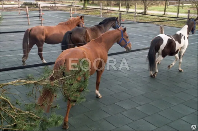 Маты из резиновой крошки для конюшни в Клине